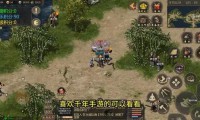 私服魔域的风险与游戏体验：快速升级背后的安全隐患与法律问题