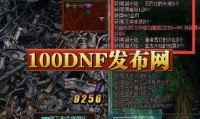 DNF公益服发布网：能找资源但有风险，使用时需谨慎