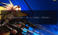 DNF私服信息获取平台大揭秘，你知道DNFSF发布网的风险吗？