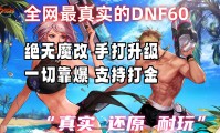 DNF公益服发布网：为玩家增选择，却也暗藏诸多风险？